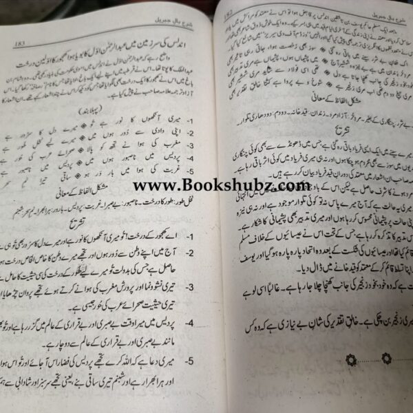 Shikwa Jawab E Shikwa </br> شکوہ جواب شکوہ - Image 5