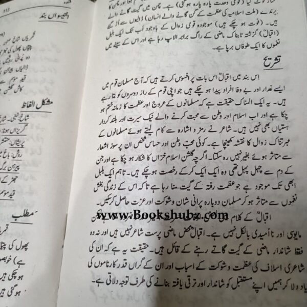 Shikwa Jawab E Shikwa </br> شکوہ جواب شکوہ - Image 6