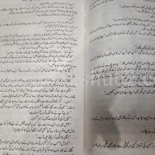 Jheel Kinara Kankar </br> جھیل کنارہ کنکر - Image 4