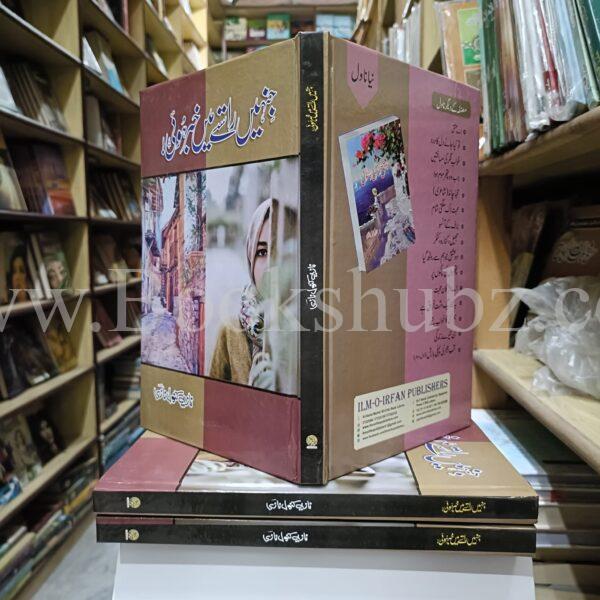 Jinhen Rastay Mein Khabar Hui </br> جنہیں راستے میں خبر ہوئی - Image 3