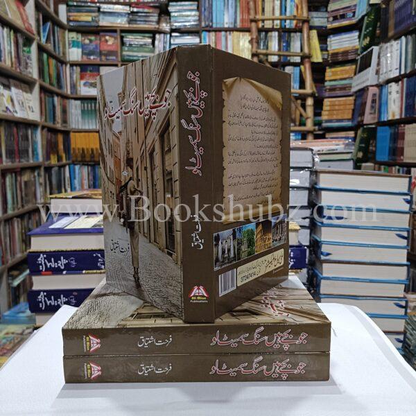 Jo Bachy Hain Sang Samait Lo </br> جو بچے ہیں سنگ سمیٹ لو - Image 4