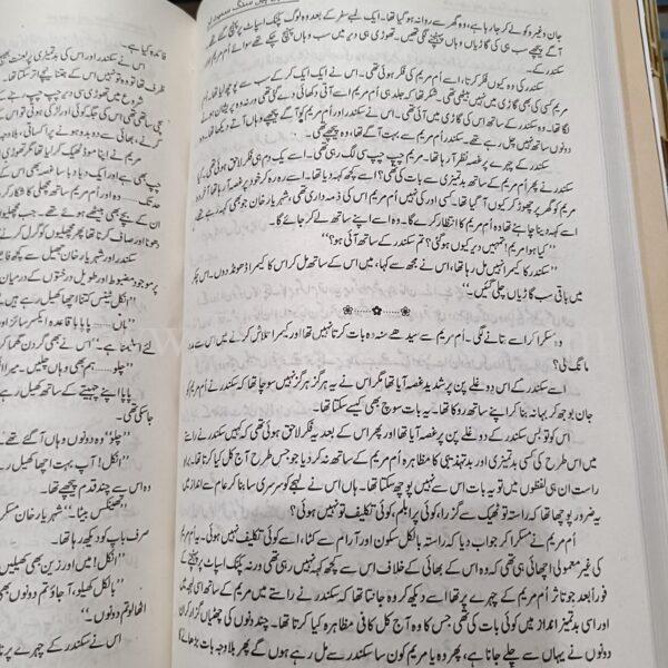 Jo Bachy Hain Sang Samait Lo </br> جو بچے ہیں سنگ سمیٹ لو - Image 5