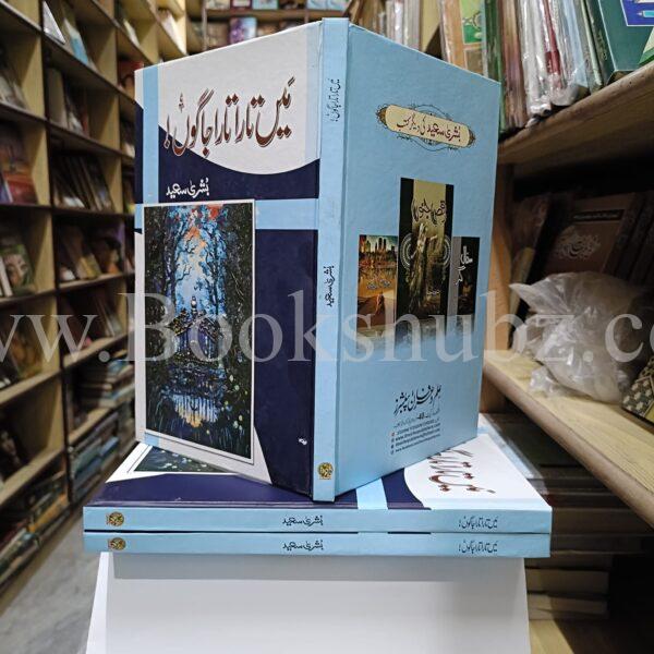 Main Tara Tara Jagon </br> میں تارا تارا جاگوں - Image 3