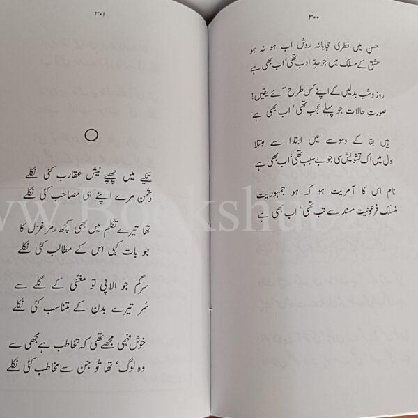 Kulliyat Murtaza Barlas </br> کلیات مرتضی برلاس - Image 5