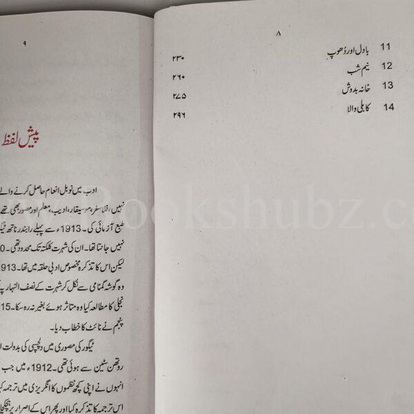 Rabindar Naath Taigor kay bay misal afsanay </br> رابندر ناتھ ٹیگور کے بے مثال افسانے - Image 6