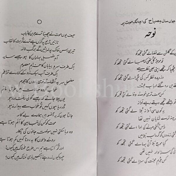 Kulliyat Soofi Tbasum </br> کلیات صوفی تبسم - Image 6