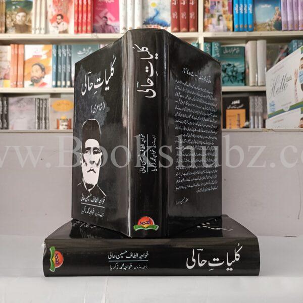 Kulliyat Altaf Hussain Hali </br> کلیات الطاف حسین حالی - Image 4
