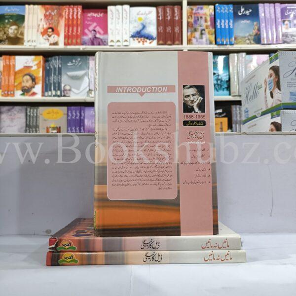 Mane Na Mane </br> مانیں نا مانیں - Image 3