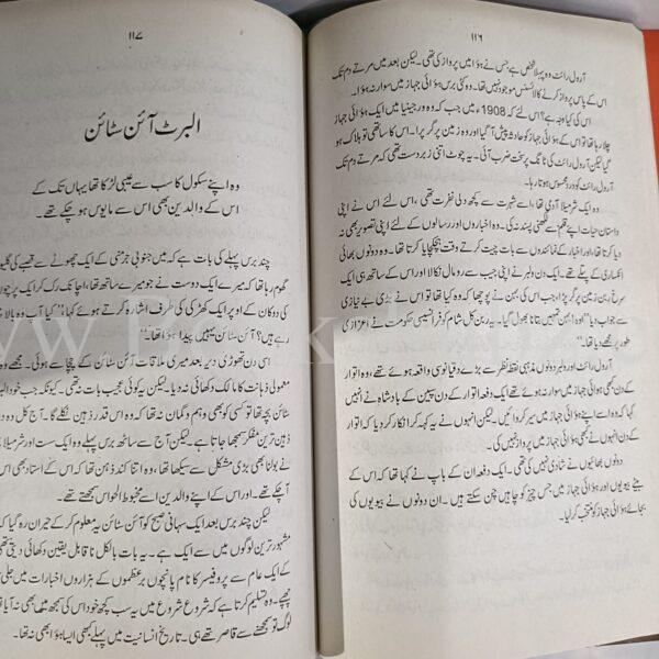 Mane Na Mane </br> مانیں نا مانیں - Image 6