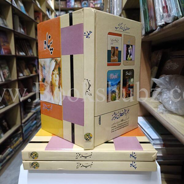 Panah </br> پناہ - Image 3