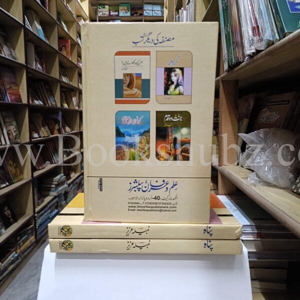 Panah </br> پناہ - Image 2