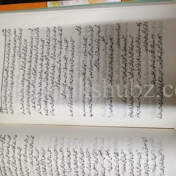 Panah </br> پناہ - Image 4
