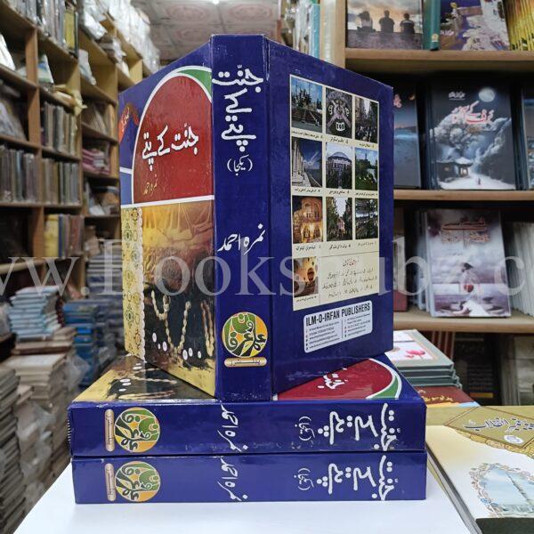 Jannat Kay Pattay </br> جنت کے پتے - Image 4