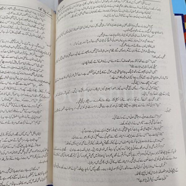 Jannat Kay Pattay </br> جنت کے پتے - Image 6