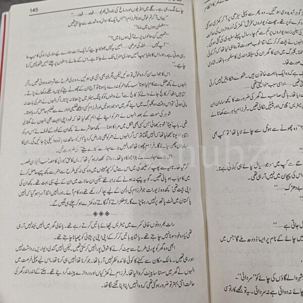 Mohabbat Man Mehram </br> محبت من محرم - Image 6