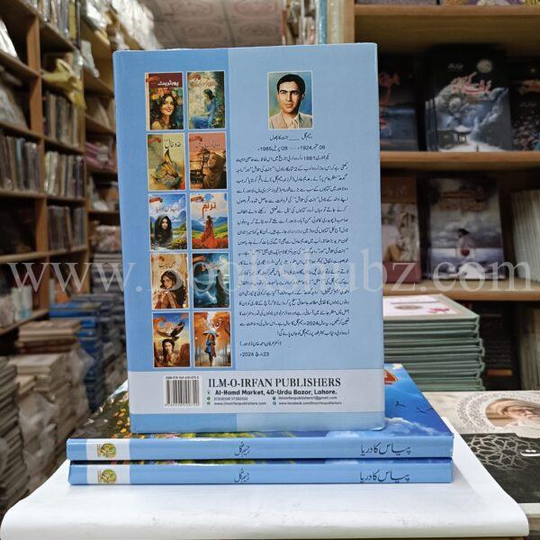 Piyas Ka Darya </br>  پیاس کا دریا - Image 3