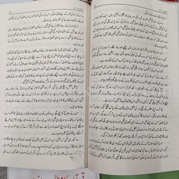 The Devil and Miss Prym (Urdu Translation) </br> شیطان اور لڑکی - Image 5