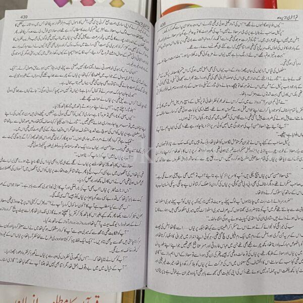 Tum Aakhri Jazeera Ho </br> تم آخری جزیرہ ہو - Image 5