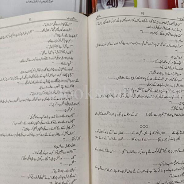 Wo Ajnabi Apna </br> وہ اجنبی اپنا - Image 6