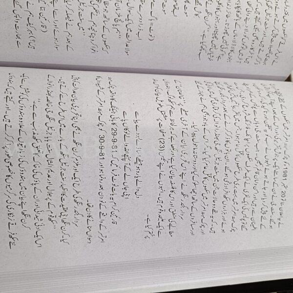 Mery Mashhor Muqadmat </br> میرے مشہور مقدمات - Image 5