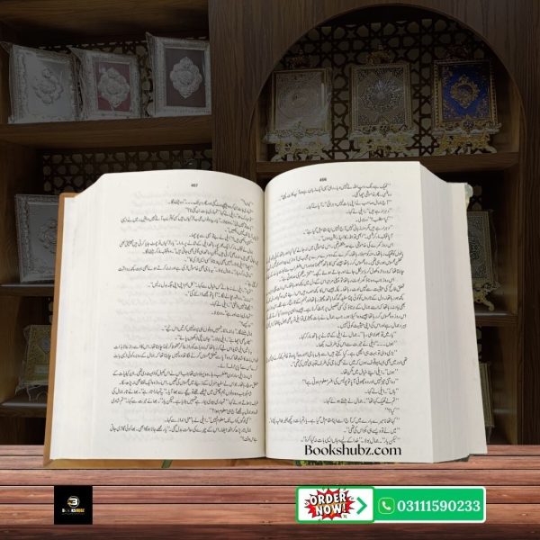 Ali Pur Ka Aili Mumtaz Mufti <br> علی پور کا ایلی ممتاز مفتی - Image 5