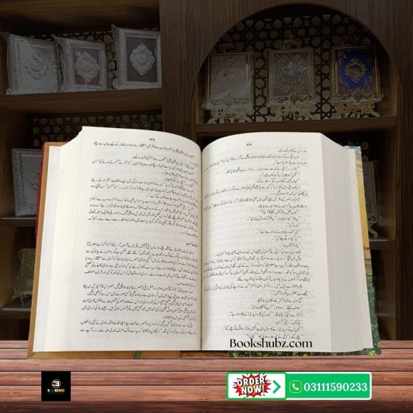 Ali Pur Ka Aili Mumtaz Mufti <br> علی پور کا ایلی ممتاز مفتی - Image 6