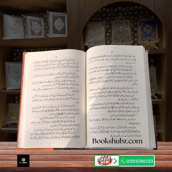 Kahi Na Jaye Mumtaz Mufti <br> کہی نہ جائے ممتاز مفتی - Image 4