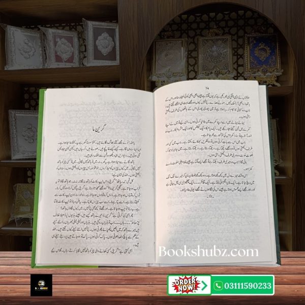 Samay Ka Bandhan Mumtaz Mufti <br> سمے کا بندھن ممتاز مفتی - Image 5