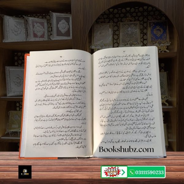 Kahi Na Jaye Mumtaz Mufti <br> کہی نہ جائے ممتاز مفتی - Image 6