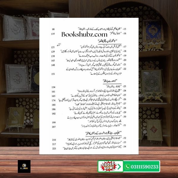 Lahore Se Yarkand Mustansar Hussain Tarar <br> لاہور سے یارکند – مستنصر حسین تارڑ - Image 5