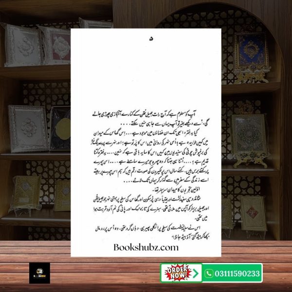 Gypsy Mustansar Hussain Tarar Safarnama <br> جپسی مستنصر حسین تارڑ کا یورپ - Image 3