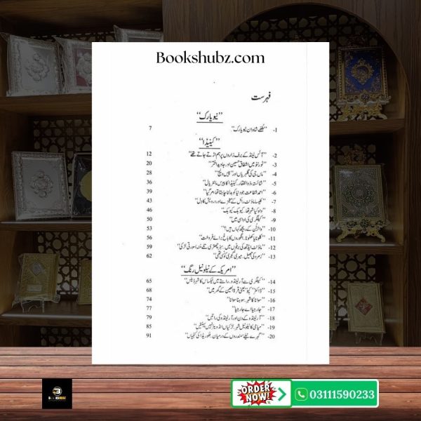 Amreeka Kay Sau Rang Mustansar Hussain Tarar <br> امریکہ کے سو رنگ – مستنصر حسین تارڑ - Image 3