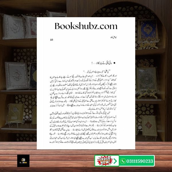 Kajal Kotha Baba Muhammad Yahya Khan <br> کاجل کوٹھا بابا محمد یحییٰ خان - Image 3