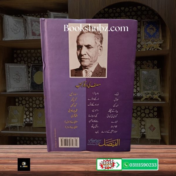 Nizam Saqa Mumtaz Mufti <br> نظام سقہ ممتاز مفتی - Image 2