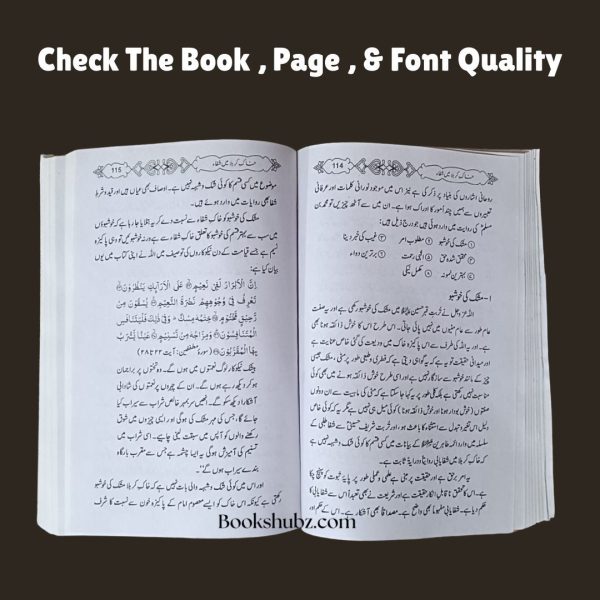 Khaak e Karbala Mein Shifa<br/>خاکِ کربلا میں شفا - Image 5