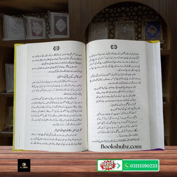 Falsafa e Ghaibat e Mehdi Shia Aqaid aur Hikmat e Gaybat e Imam Mahdi A.S <br/>فلسفۂ غیبتِ مہدی - Image 5