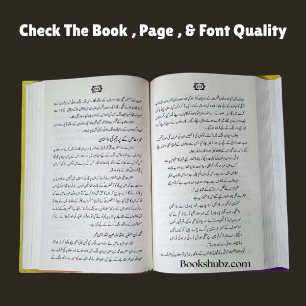 Falsafa e Ghaibat e Mehdi Shia Aqaid aur Hikmat e Gaybat e Imam Mahdi A.S <br/>فلسفۂ غیبتِ مہدی - Image 6