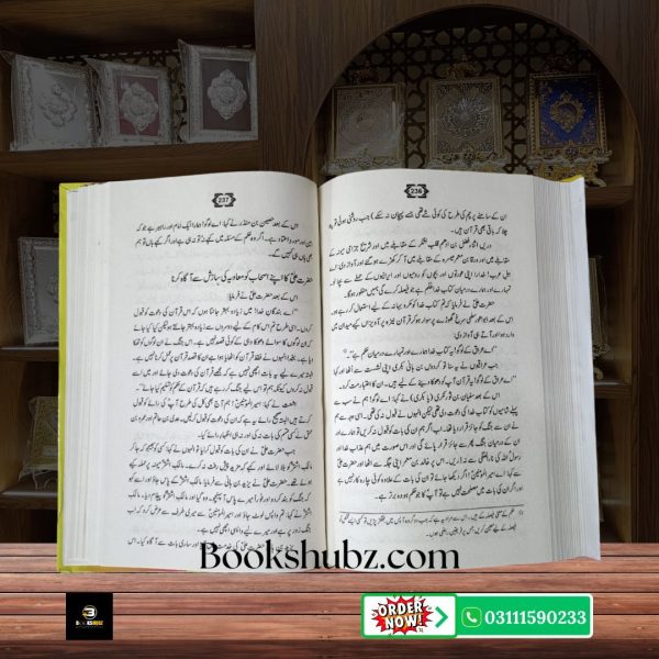 Ali Ki Jangen Hazrat Ali A.S Ke Ma’arkay Insaf aur Jihad e Haq <br/>علی کی جنگیں حضرت علی علیہ السلام کے معرکے - Image 5