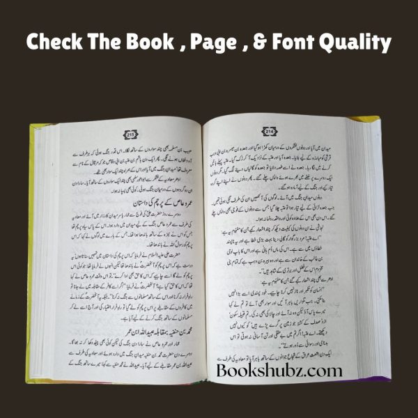 Ali Ki Jangen Hazrat Ali A.S Ke Ma’arkay Insaf aur Jihad e Haq <br/>علی کی جنگیں حضرت علی علیہ السلام کے معرکے - Image 7