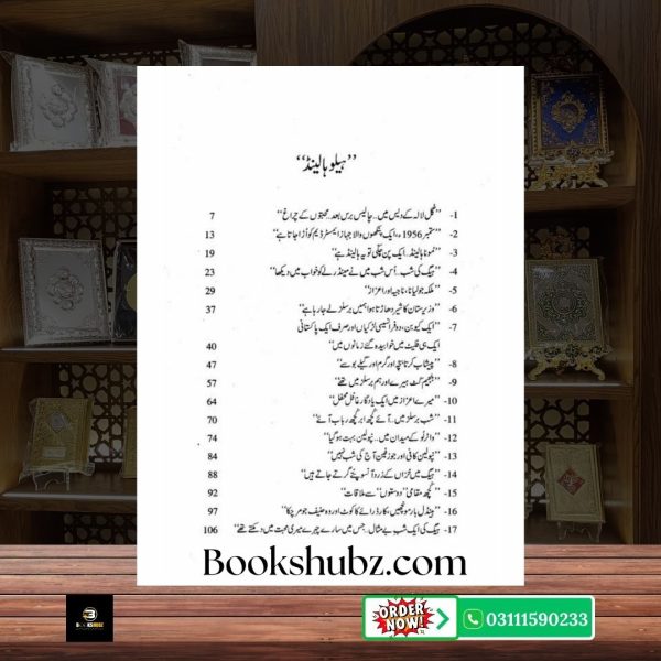 Hello Holland – Mustansar Hussain Tarar <br/> ہیلو ہالینڈ مستنصر حسین تارڑ - Image 3