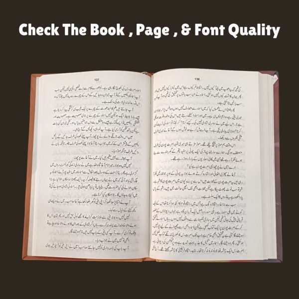 Roghni Putly  Mumtaz Mufti <br> روغنی پتلی  ممتاز مفتی - Image 6