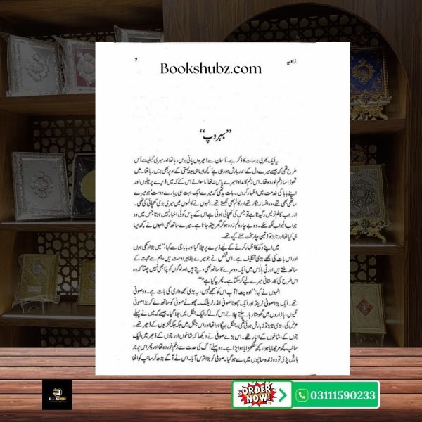 Zaavia Ashfaq Ahmed <br> زاویہ اشفاق احمد - Image 4