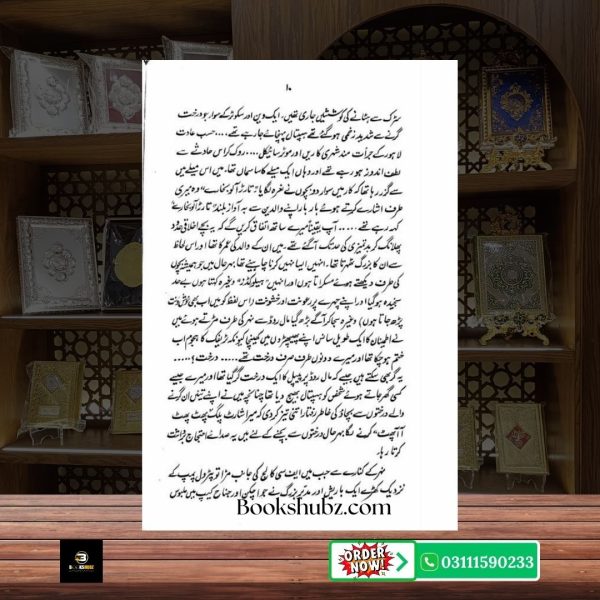 Guzara Naheen Hota Mustansar Hussain Tarar <br> گزارا نہیں ہوتا – مستنصر حسین تارڑ - Image 5