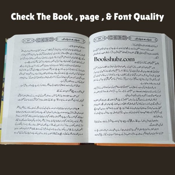 Karbala Se Wapsi Ka Safar by Ayatullah Muhammad Jawad Tehrani  <br/> مدینہ سے مدینہ تک - Image 7