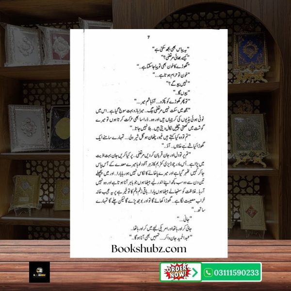 Qilaa Jangi Mustansar Hussain Tarar <br> قلعہ جنگی مستنصر حسین تارڑ - Image 4