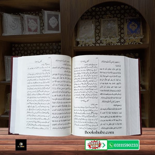 Nahjul Balagha Urdu Tarjuma Mufti Jafar Hussain  <br> نہج البلاغہ  حضرت علیؑ کے خطبات، اقوال اور خطوط کا خزانہ - Image 15