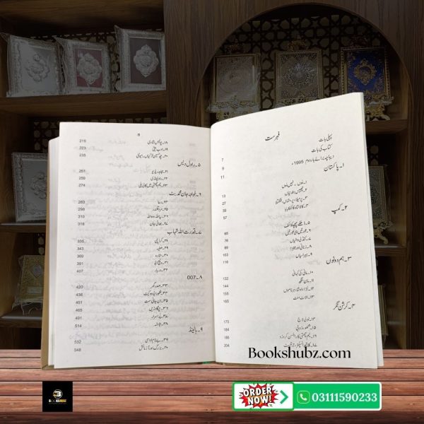 Alakh Nagri Mumtaz Mufti <br> الاخ نگری  ممتاز مفتی - Image 4