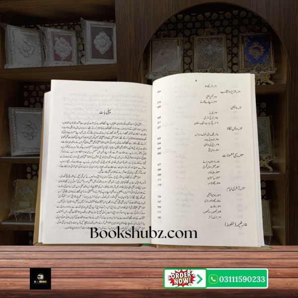 Alakh Nagri Mumtaz Mufti <br> الاخ نگری  ممتاز مفتی - Image 5