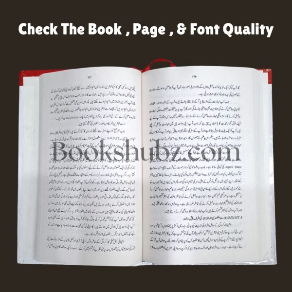 Jeet Ki Janib <br> جیت کی جانب - Image 6