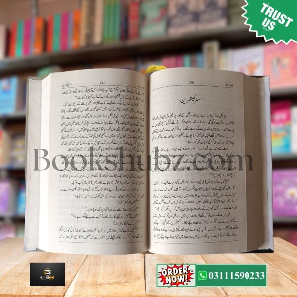Teesra Janam by Dr Khalid Jameel<br> تیسرا جنم - Image 8